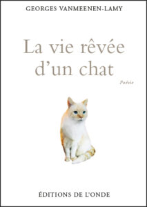 CHAT_VM_COUV_site